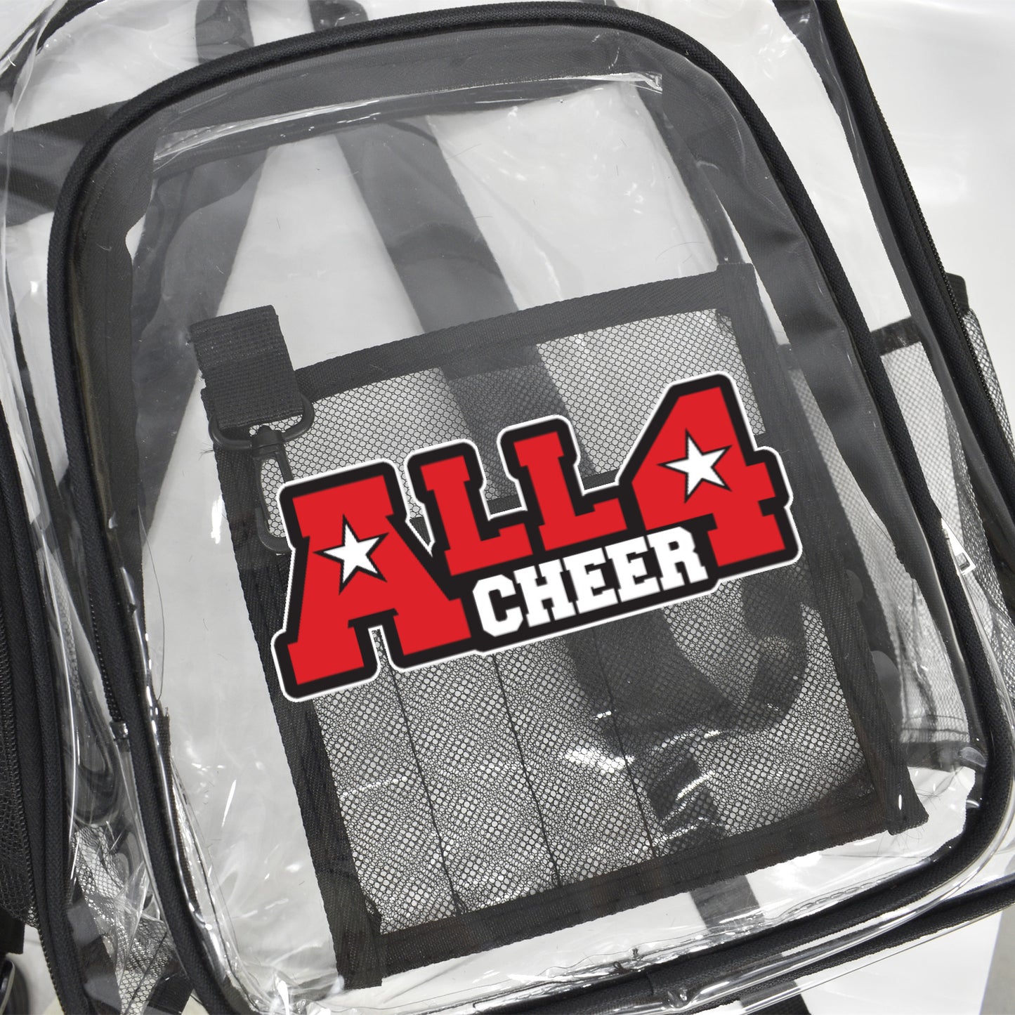 Transparent Backpack